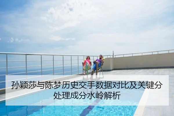 孙颖莎与陈梦历史交手数据对比及关键分处理成分水岭解析