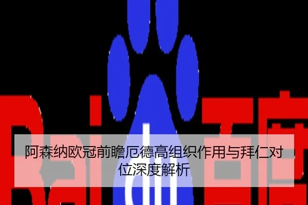 阿森纳欧冠前瞻厄德高组织作用与拜仁对位深度解析